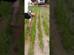 Πολλών χρήσεων εκριζωτής